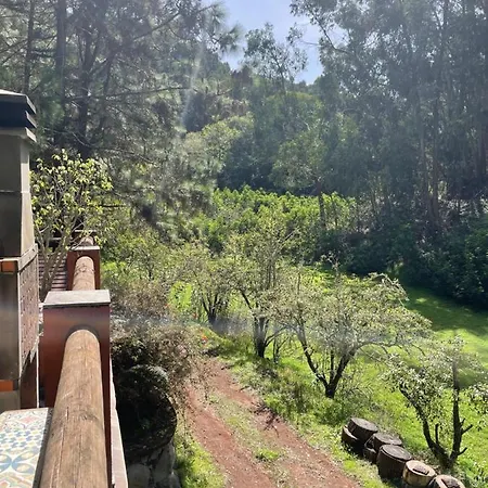Semesterbostad En Medio Del Bosque, El Lance Firgas