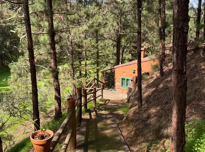 En Medio Del Bosque, El Lance
