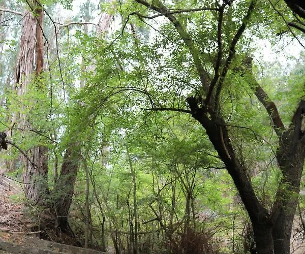 Σπίτι διακοπών En Medio Del Bosque, El Lance